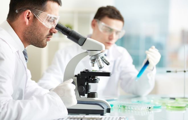Experimento SEO