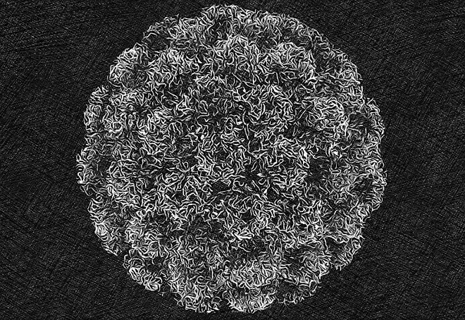 virus
