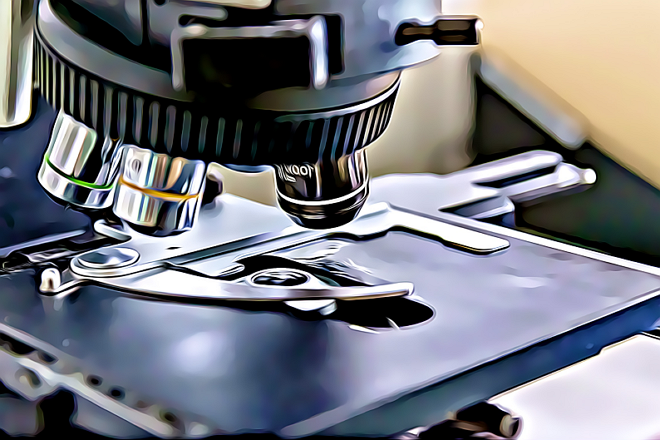 microscopio