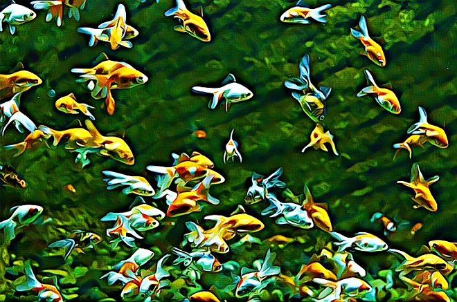 aquario
