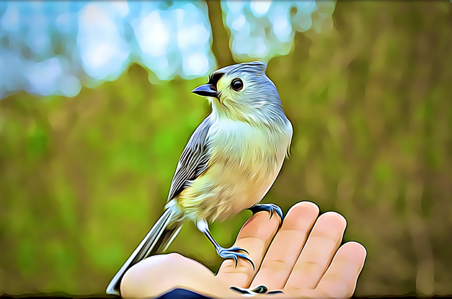 pajaro en mano